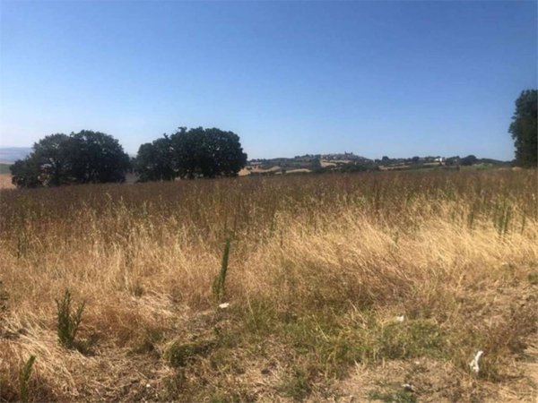 terreno agricolo in vendita a Montecilfone
