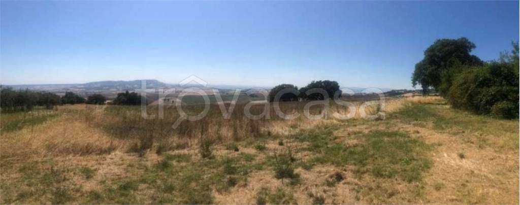 terreno agricolo in vendita a Montecilfone