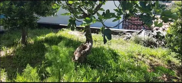 casa indipendente in vendita a Montefalcone nel Sannio