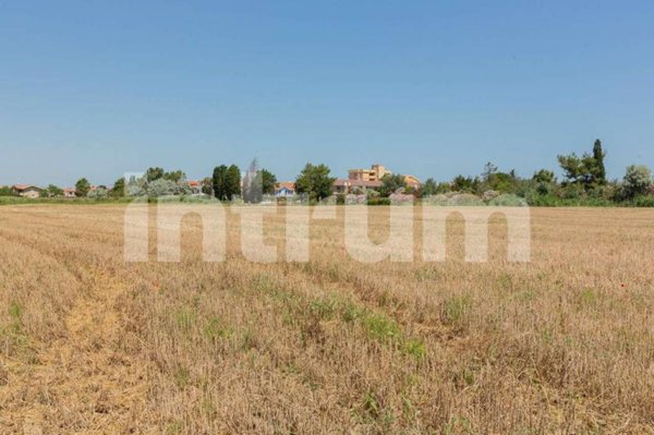 casa indipendente in vendita a Montenero di Bisaccia