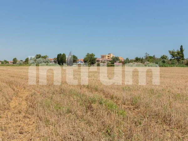 casa indipendente in vendita a Montenero di Bisaccia
