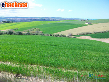 appartamento in vendita a Montenero di Bisaccia