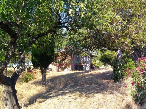 appartamento in vendita a Montenero di Bisaccia