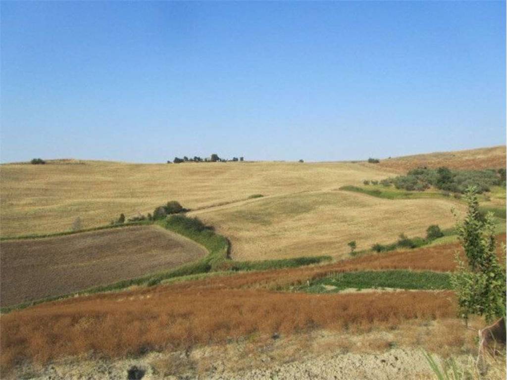 terreno agricolo in vendita a Montenero di Bisaccia