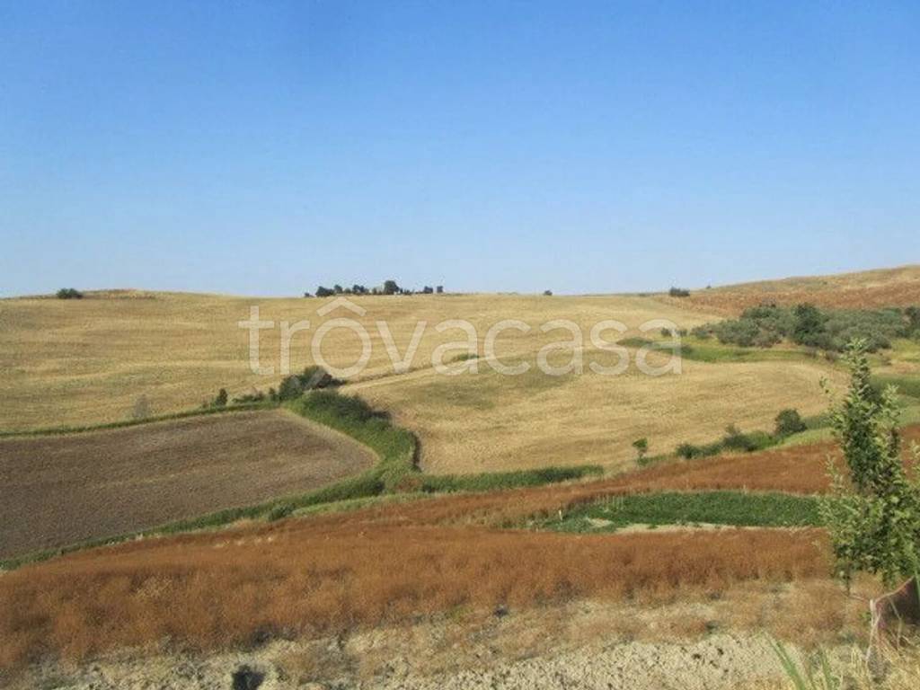 terreno agricolo in vendita a Montenero di Bisaccia