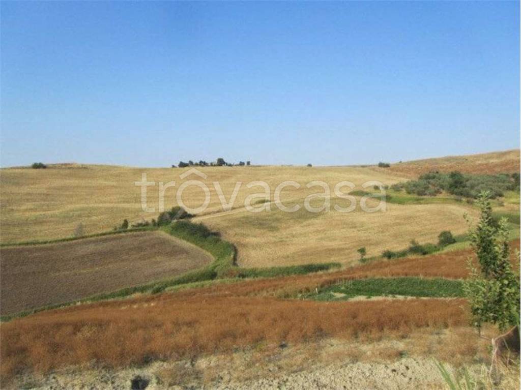 terreno agricolo in vendita a Montenero di Bisaccia