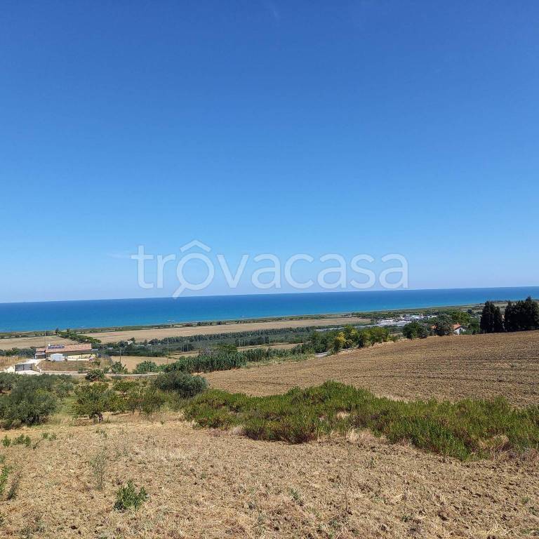 terreno agricolo in vendita a Montenero di Bisaccia