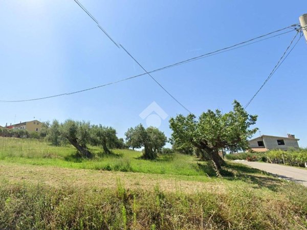 terreno agricolo in vendita a Montenero di Bisaccia