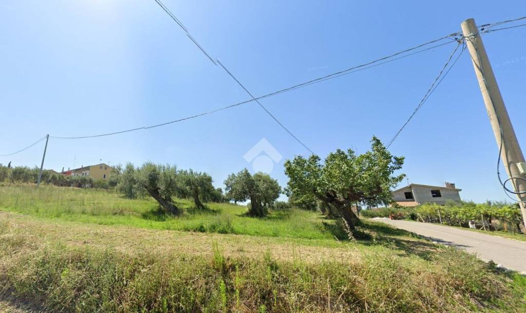 terreno agricolo in vendita a Montenero di Bisaccia