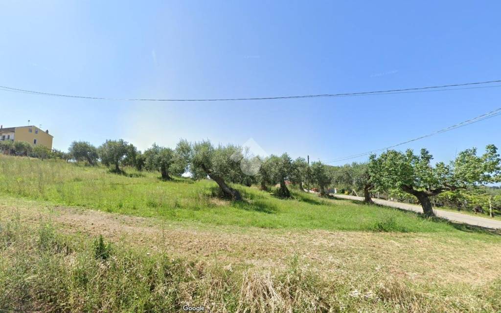 terreno agricolo in vendita a Montenero di Bisaccia