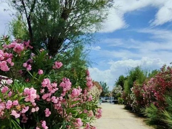 negozio in vendita a Montenero di Bisaccia