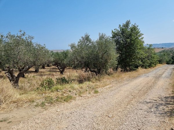 terreno agricolo in vendita a Montenero di Bisaccia
