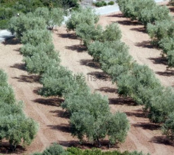 casa indipendente in vendita a Montenero di Bisaccia