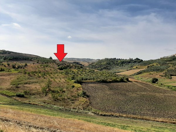 terreno agricolo in vendita a Montenero di Bisaccia