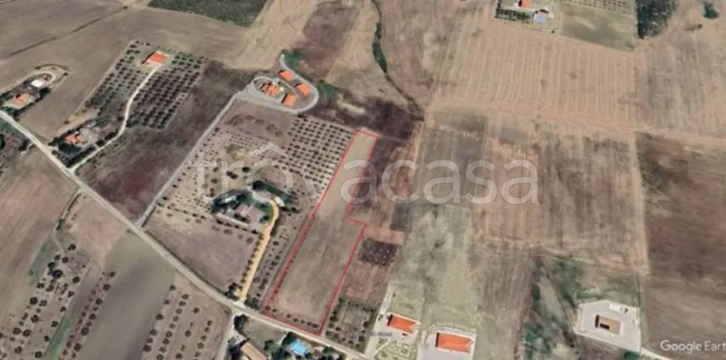 terreno agricolo in vendita a Montenero di Bisaccia