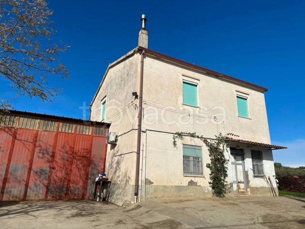azienda agricola in vendita a Montenero di Bisaccia