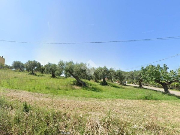 terreno agricolo in vendita a Montenero di Bisaccia