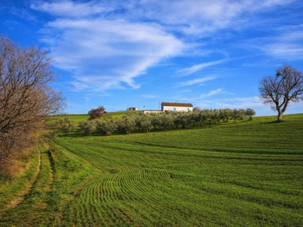 casa indipendente in vendita a Montenero di Bisaccia