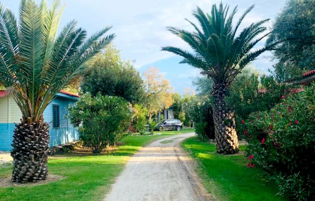 negozio in vendita a Montenero di Bisaccia