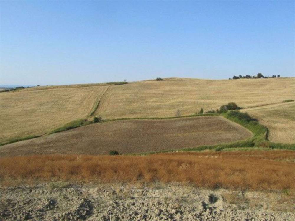 terreno agricolo in vendita a Montenero di Bisaccia