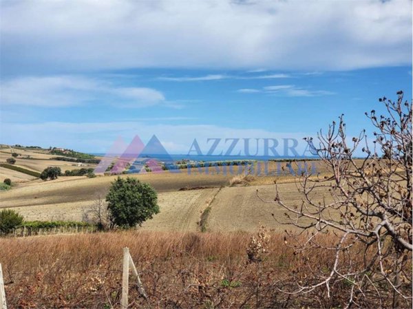 terreno agricolo in vendita a Montenero di Bisaccia