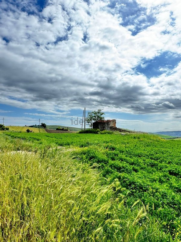 terreno agricolo in vendita a Montenero di Bisaccia