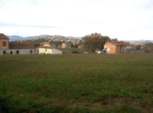 terreno agricolo in vendita ad Oratino