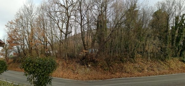 terreno agricolo in vendita ad Oratino