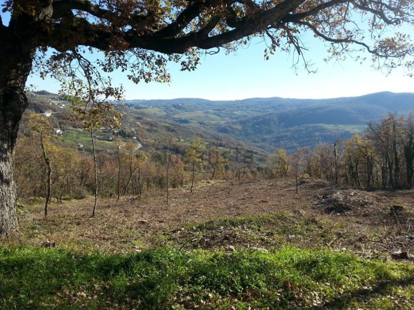 terreno edificabile in vendita ad Oratino