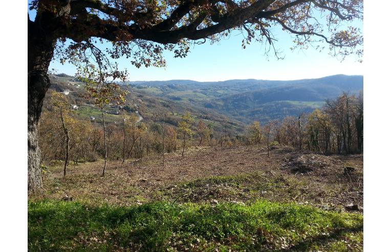 terreno agricolo in vendita ad Oratino