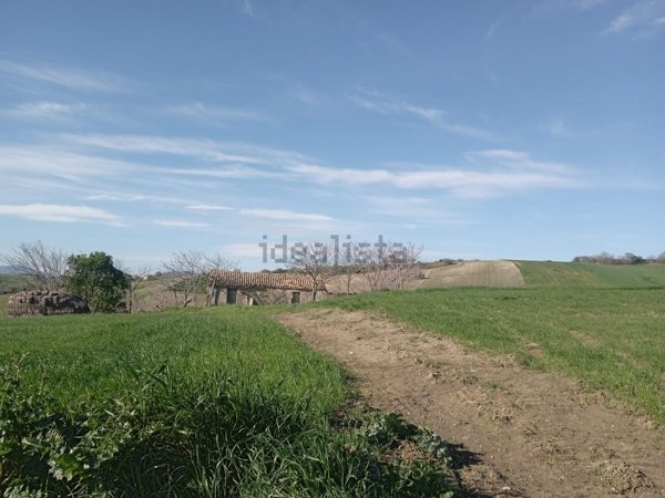 terreno agricolo in vendita a Palata
