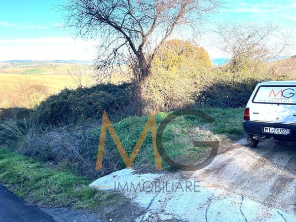 terreno agricolo in vendita a Petacciato