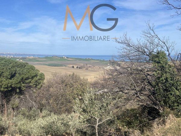 terreno agricolo in vendita a Petacciato