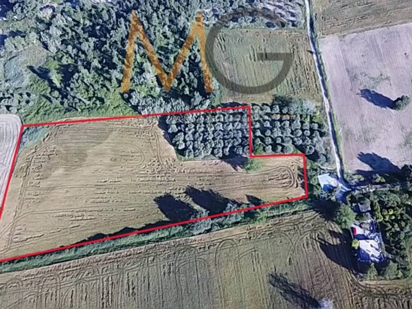 terreno agricolo in vendita a Petacciato