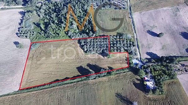 terreno agricolo in vendita a Petacciato