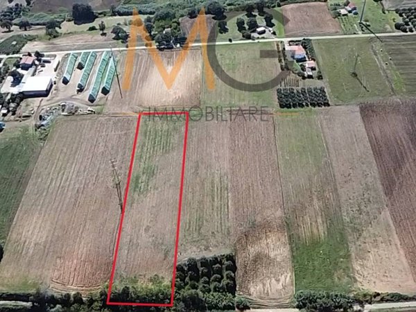 terreno agricolo in vendita a Petacciato