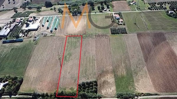 terreno agricolo in vendita a Petacciato
