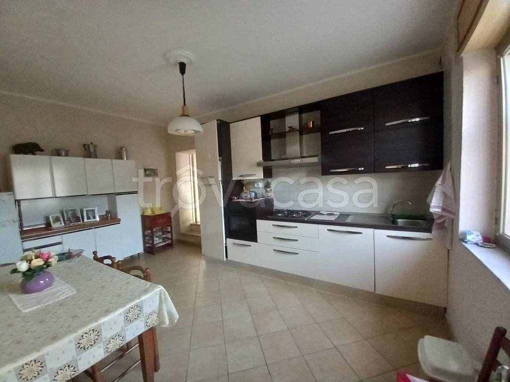 casa indipendente in vendita a Petacciato