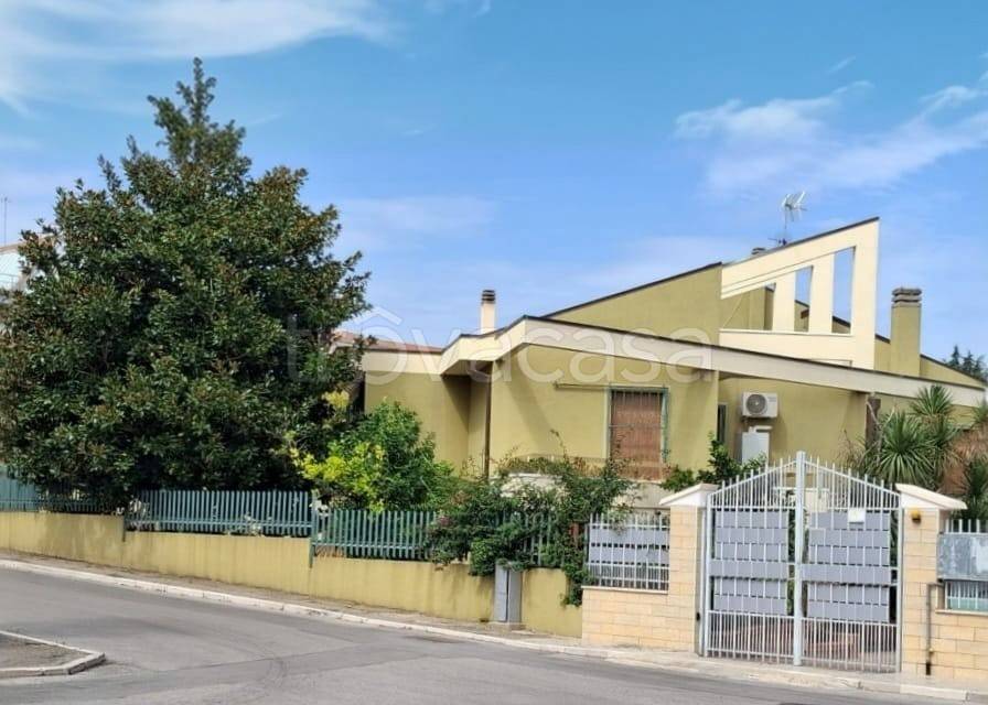 casa indipendente in vendita a Petacciato
