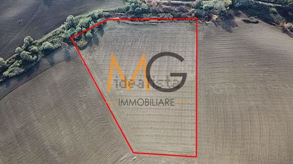 terreno agricolo in vendita a Petacciato