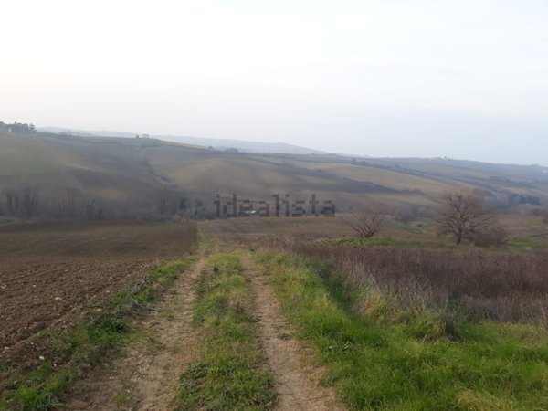 terreno agricolo in vendita a Petacciato