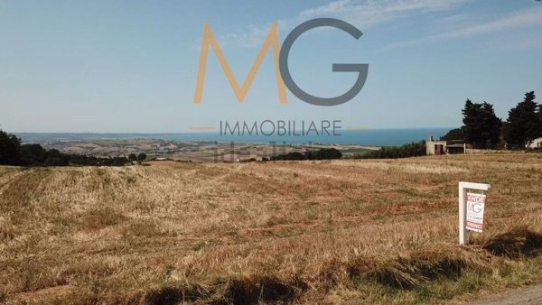 terreno agricolo in vendita a Petacciato