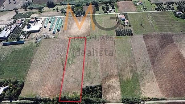 terreno agricolo in vendita a Petacciato