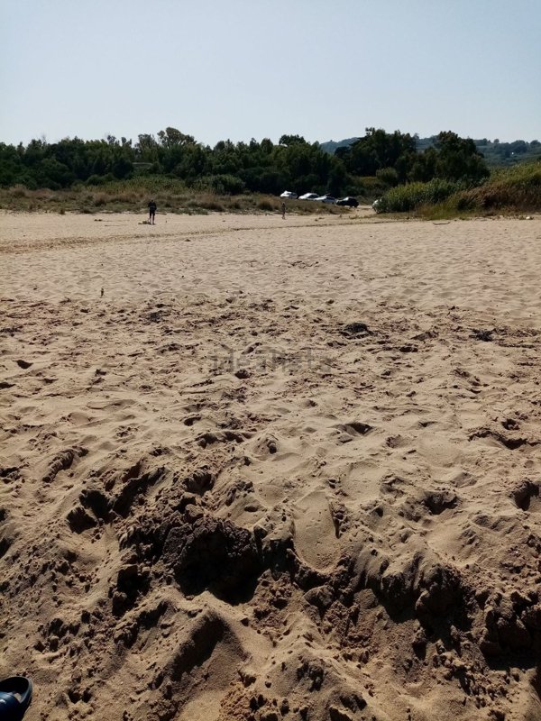 terreno agricolo in vendita a Petacciato
