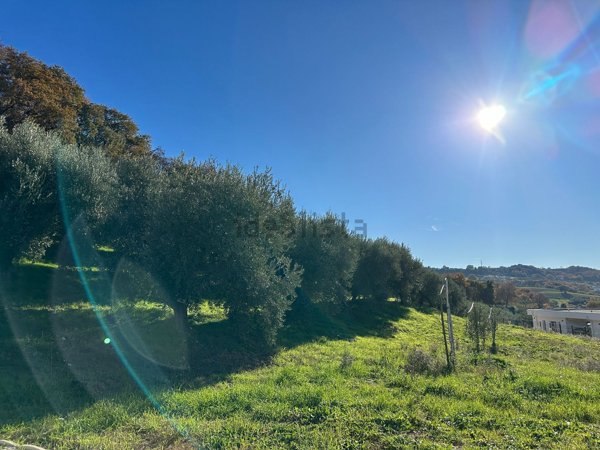 casa indipendente in vendita a Petacciato