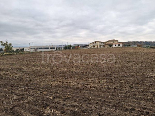 terreno agricolo in vendita a Petacciato