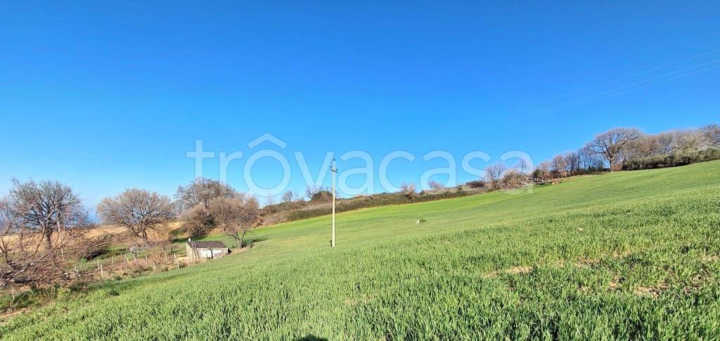 casa indipendente in vendita a Petacciato