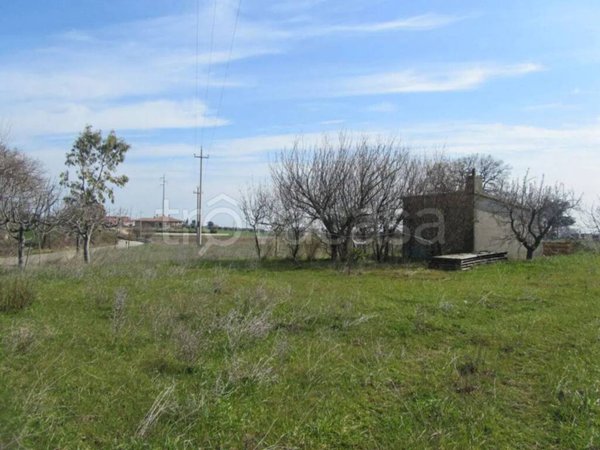 terreno agricolo in vendita a Petacciato