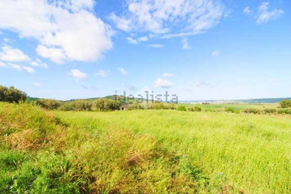 terreno agricolo in vendita a Petacciato