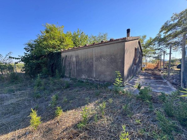 casa indipendente in vendita a Petacciato